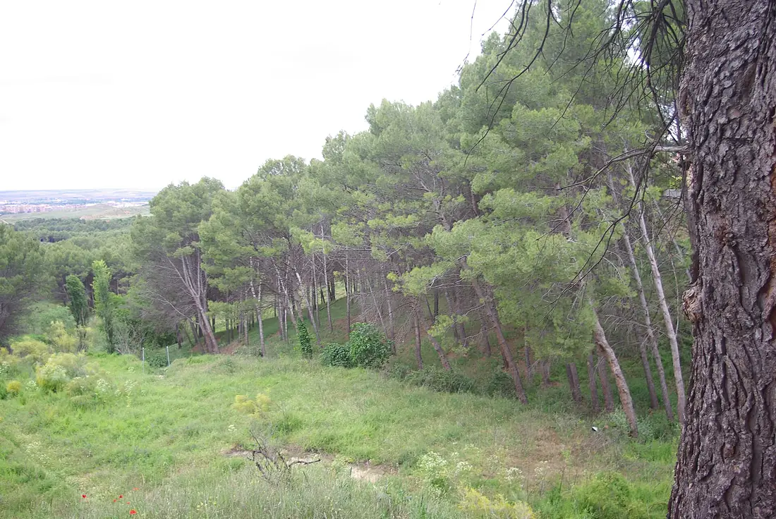 ® ALCALA DE HENARES JARDIN SOBRE EL RIO HENARES - panoramio (2)