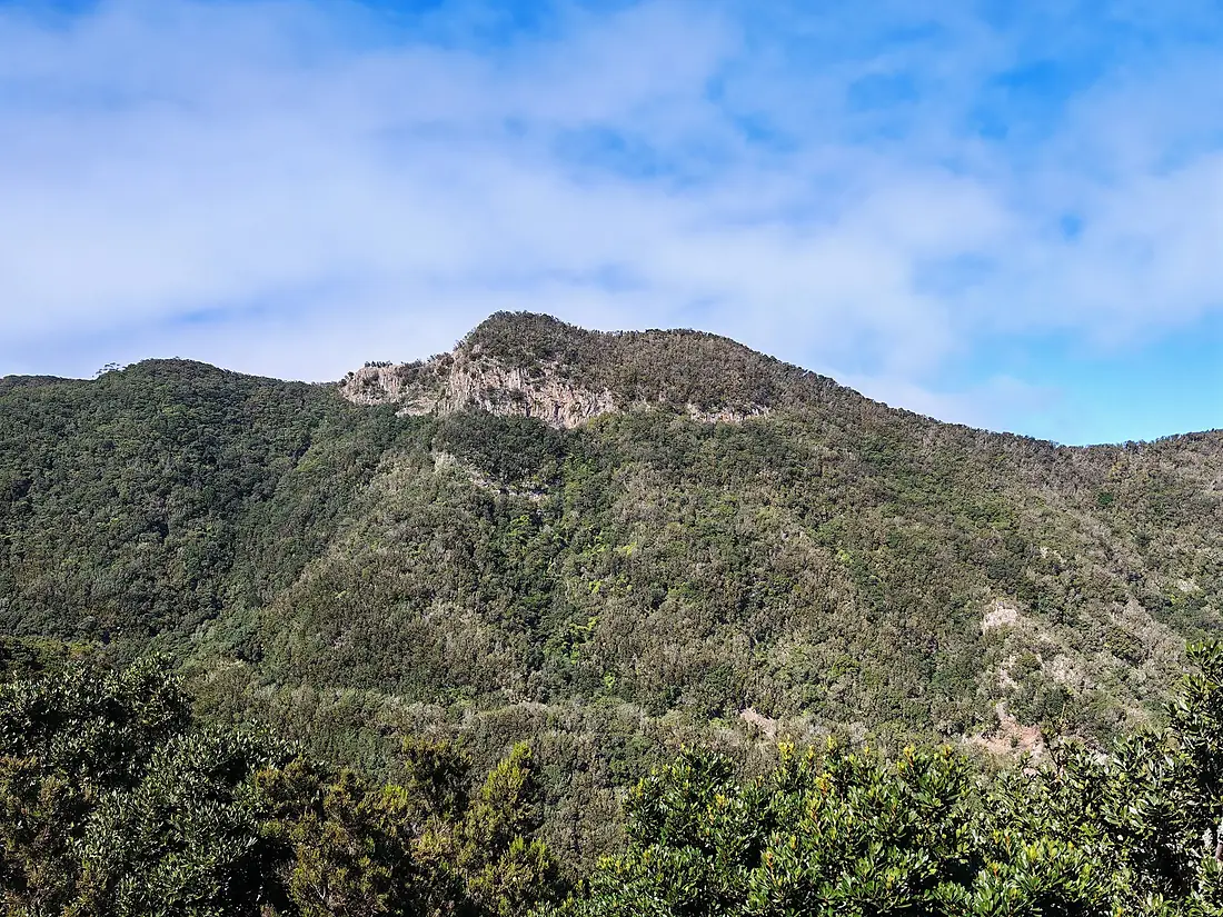 2025 Carretera de Anaga 01