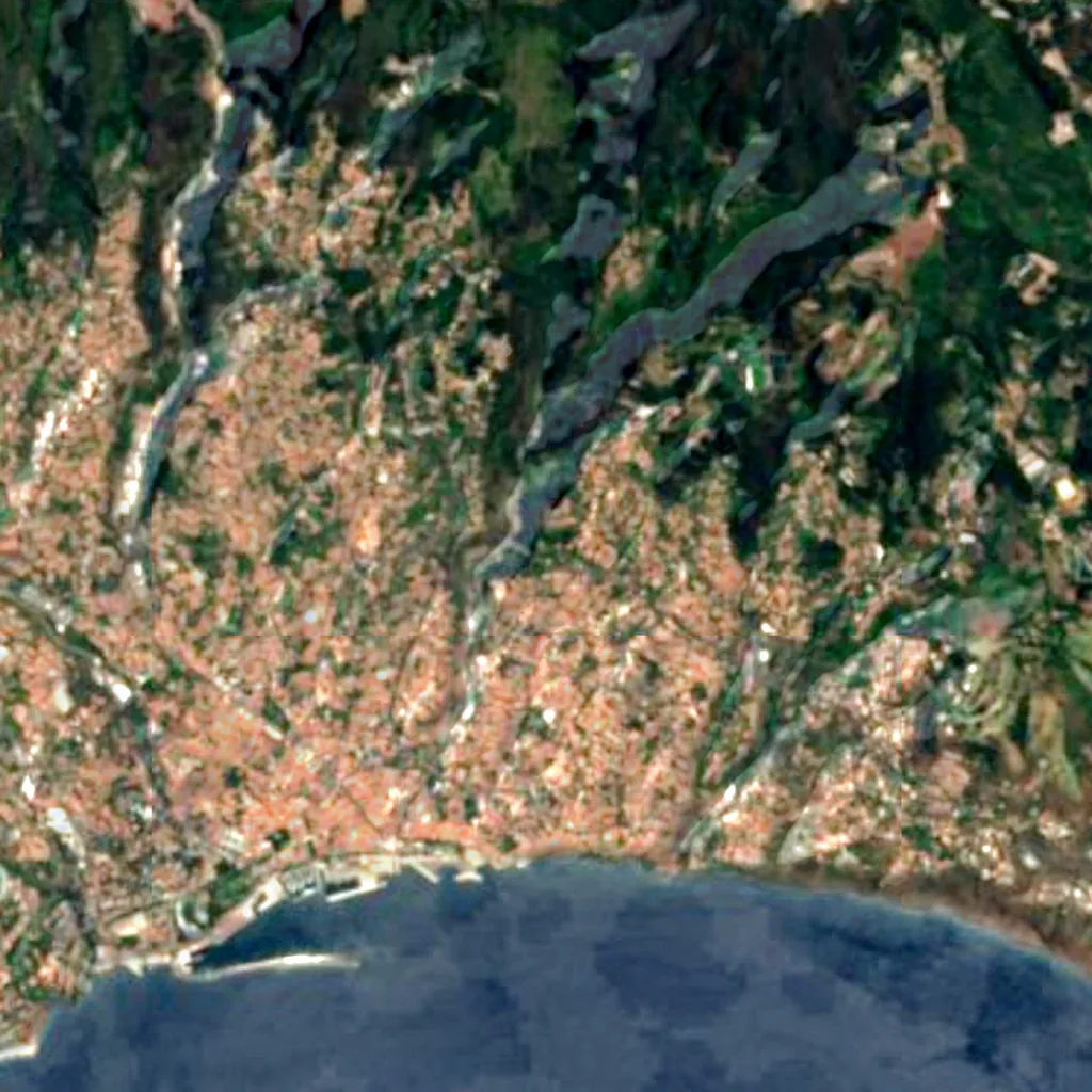 Madeira Botanical Garden seen from above (Sentinel-2)