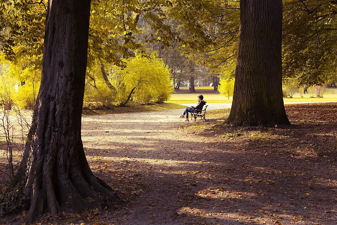 Maksimir 10. 2016. (30201565340)