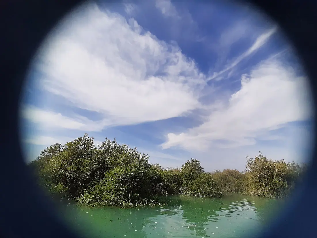 Hara forests of Qeshm - 2