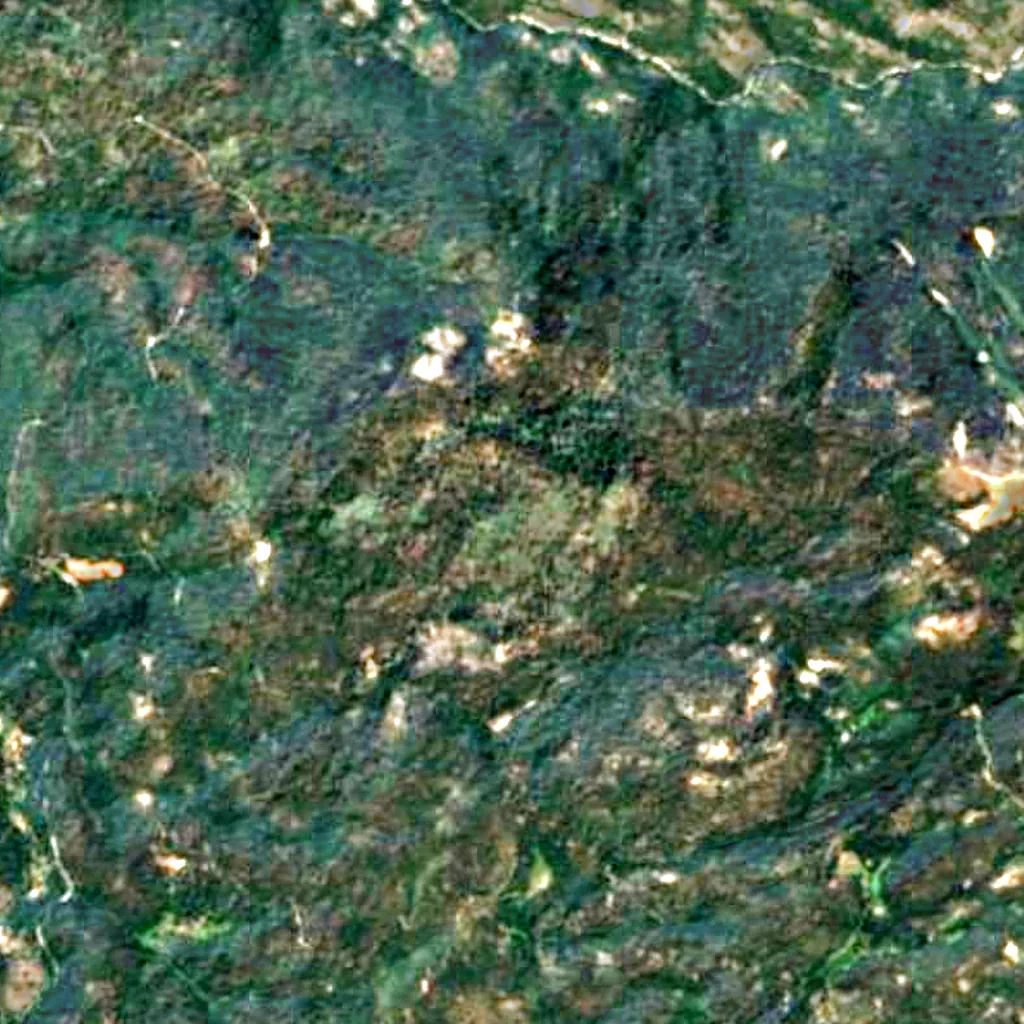 Mariposa Grove seen from above (Sentinel-2)