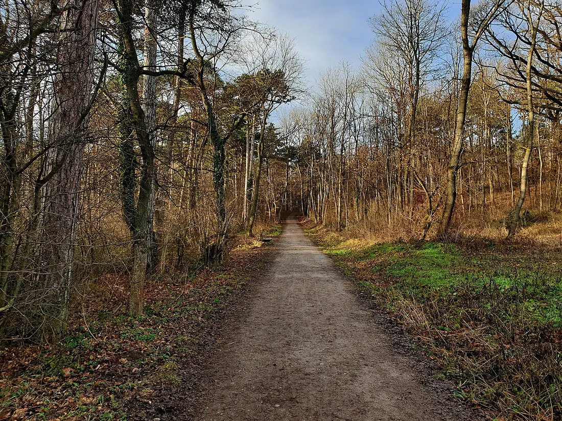 20201230 Maurer Wald