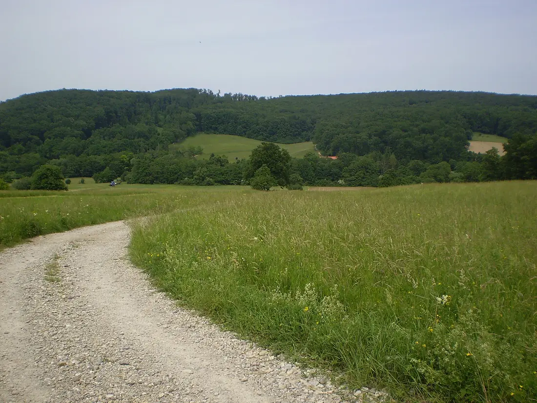 Eichwiese Maurer Wald