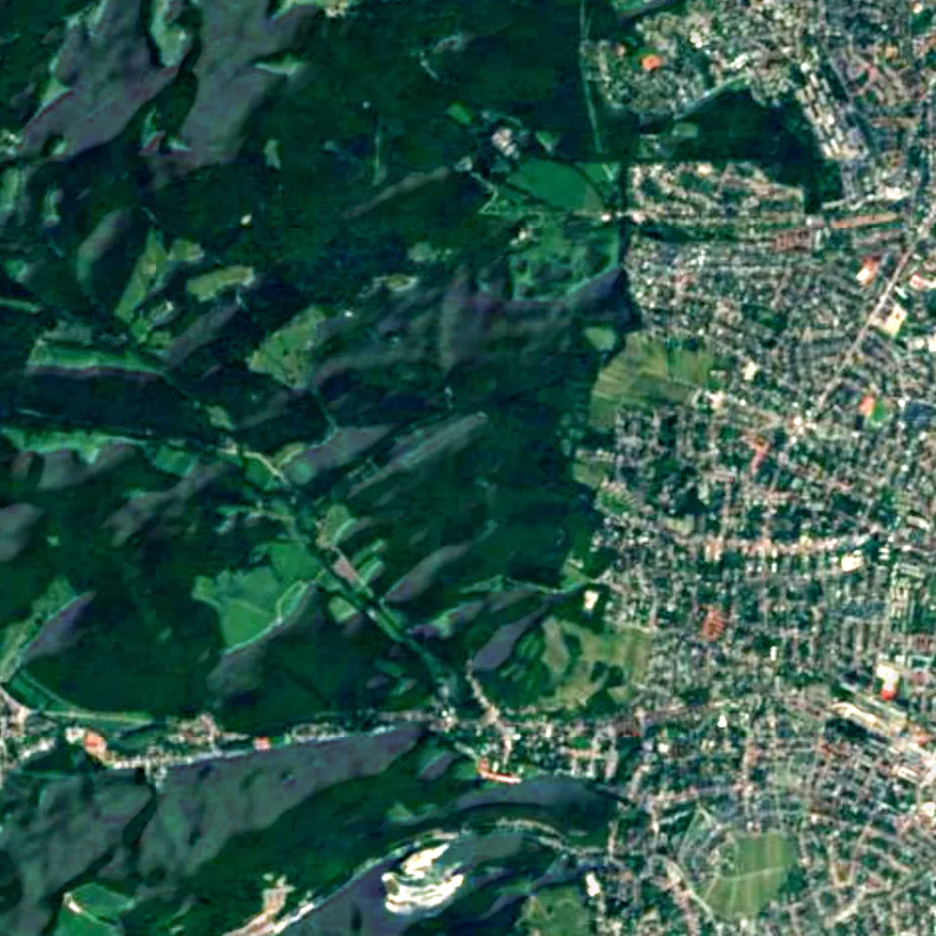 Maurer Wald seen from above (Sentinel-2)