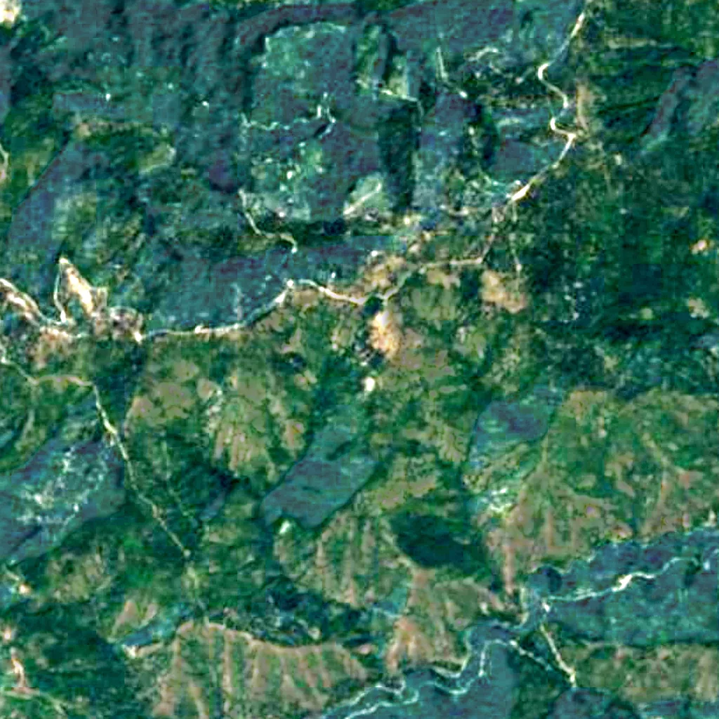 Mendocino National Forest seen from above (Sentinel-2)
