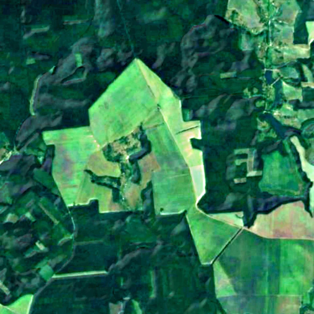 Millennial oak tree of Maksym Zaliznyak seen from above (Sentinel-2)