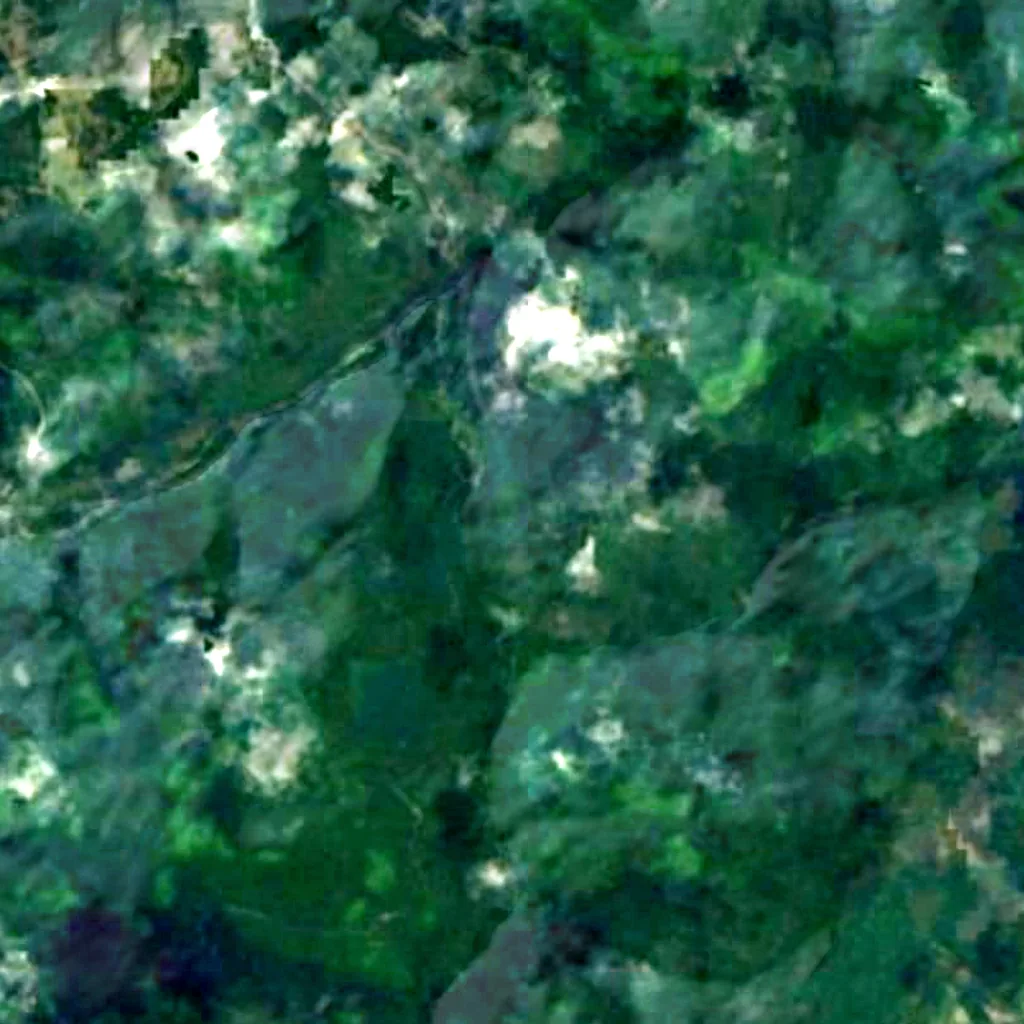 Monongahela National Forest seen from above (Sentinel-2)