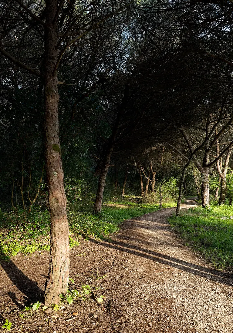 Hiking trail, Parque Florestal de Monsanto, Lisbon, Portugal julesvernex2-2