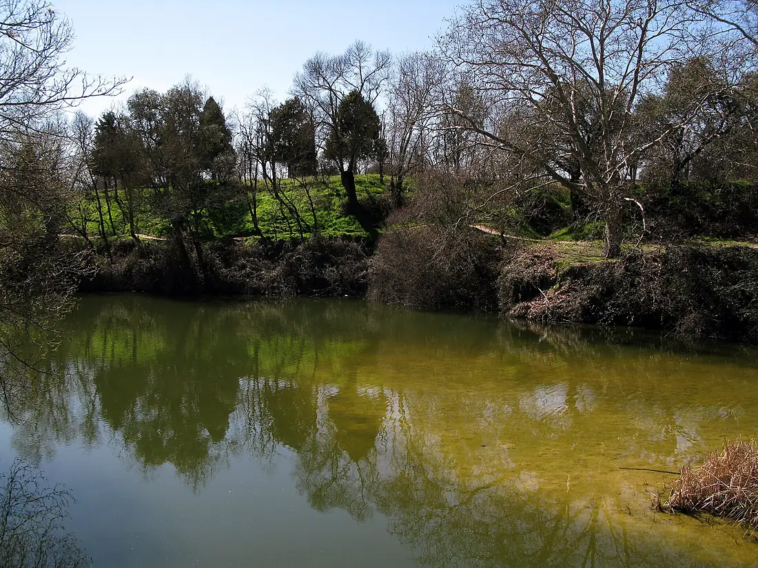 Cuenca del río Manzanares Monte del Pardo 13