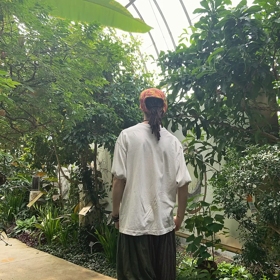 12amcoffee botanical garden