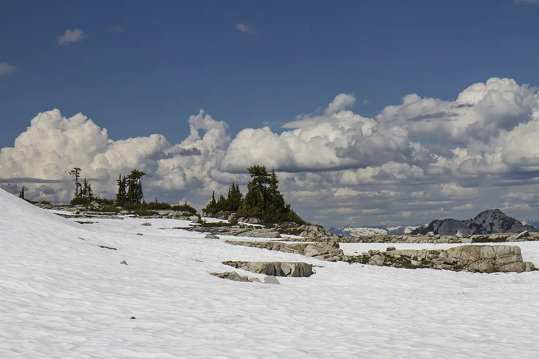 Alpine Trees, Clouds and Snow above Necklace Valley, Mt Baker Snoqualmie National Forest (31270479244)