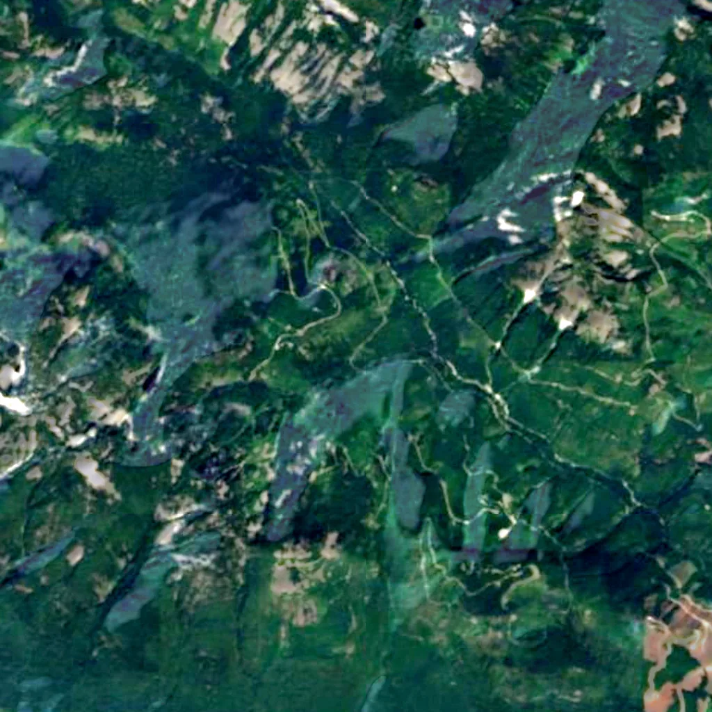 Mount Baker-Snoqualmie National Forest seen from above (Sentinel-2)