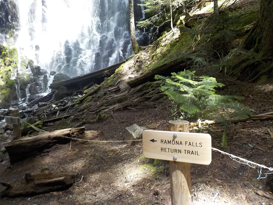 2016 National Trails Day 3, 2016 National Trails Day 1, Mt Hood National Forest (27935824236)