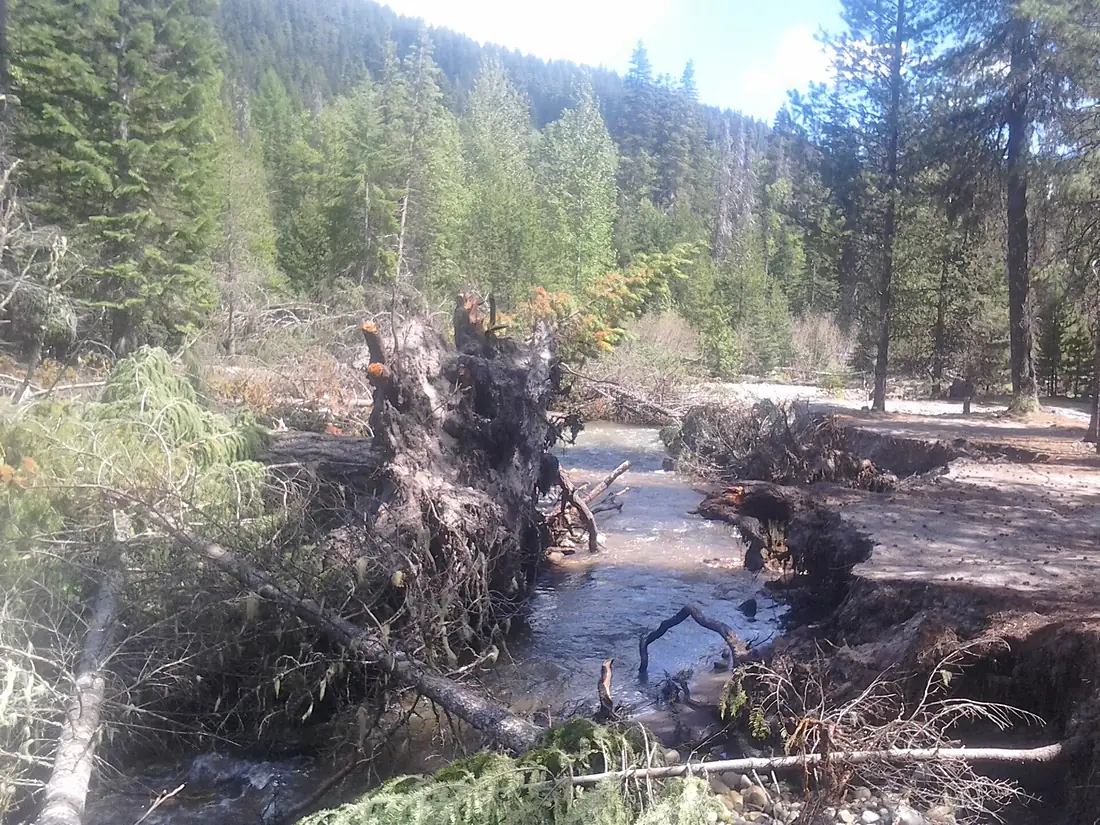 2016 White River Flood Closure 1, Mt Hood National Forest (27935819376)