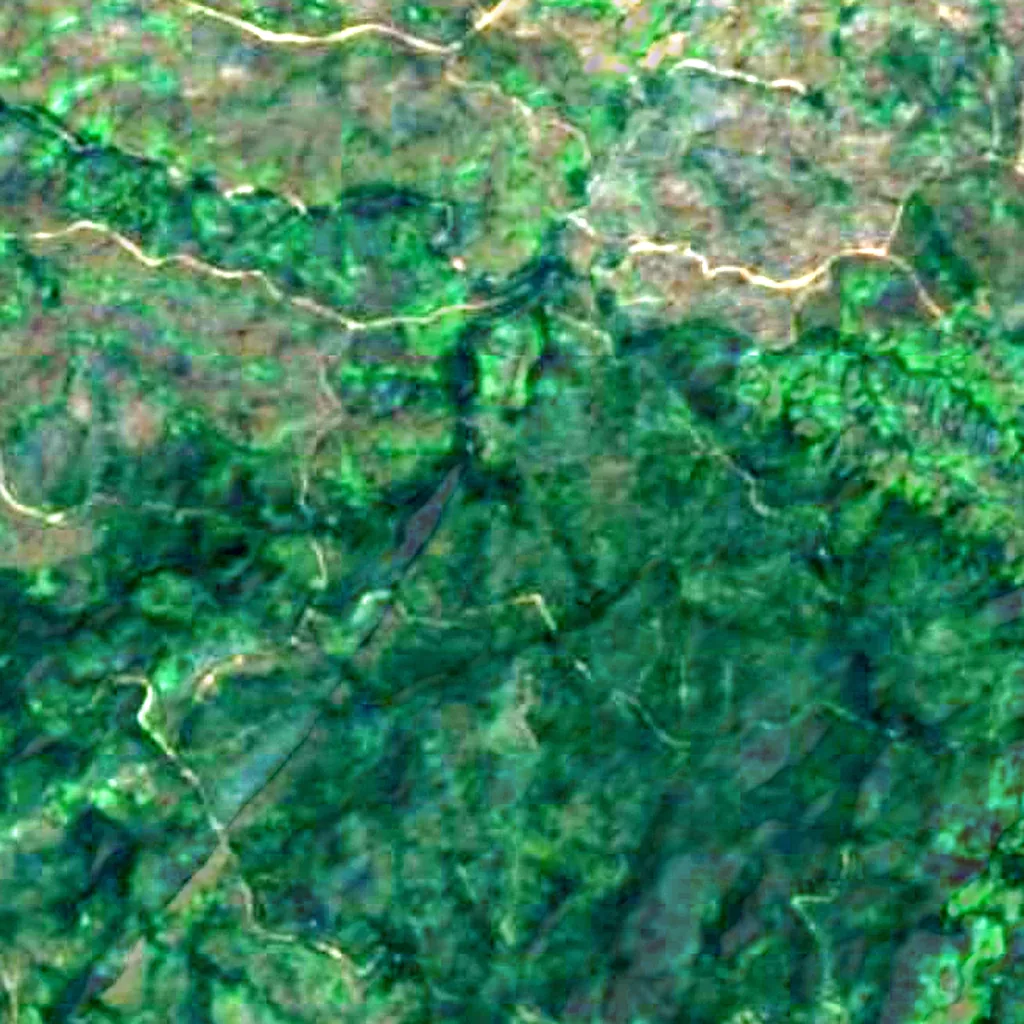 Mountain Pine Ridge Forest Reserve seen from above (Sentinel-2)