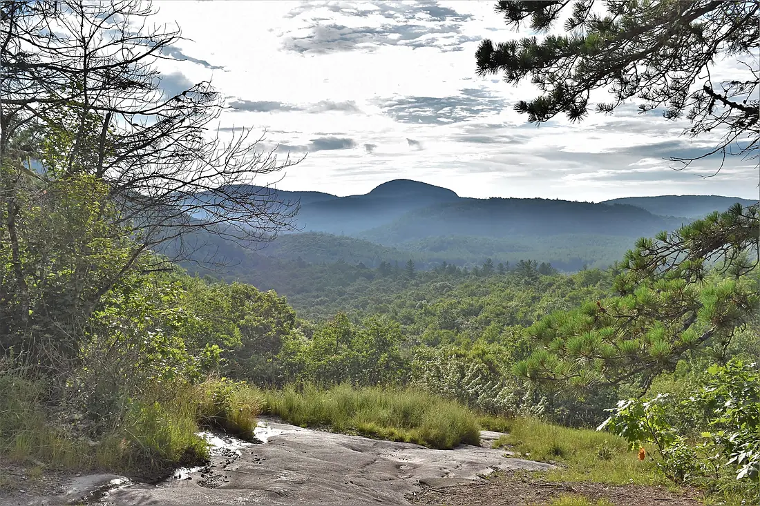 Scene above Panthertown Valley Wetland