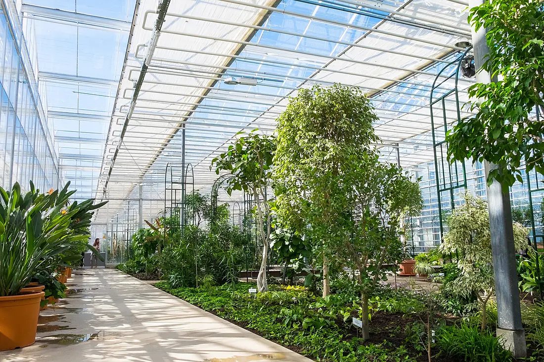 National Botanic Garden (2)