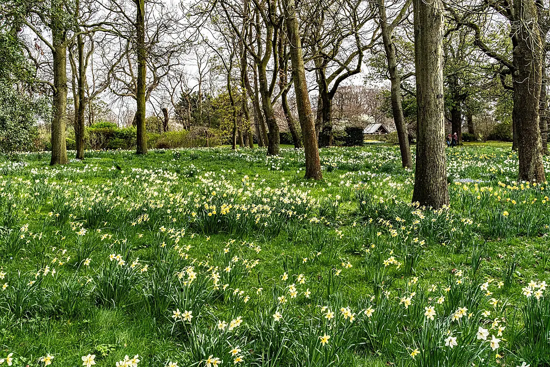 "at Botanic Gardens Glasnevin" -150669 (33574800468)