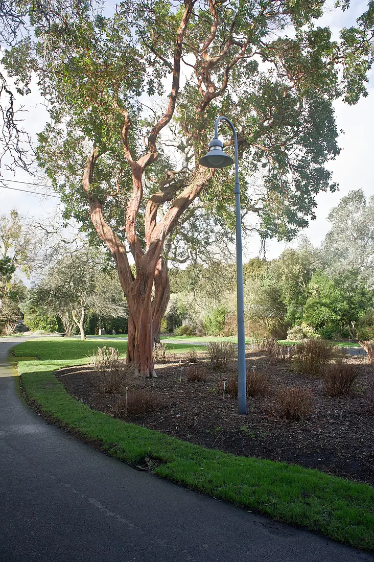 A Visit To the Botanic Gardens In Glasnevin (5469312185)