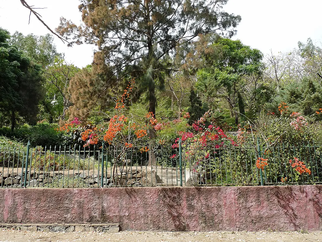 São Jorge dos Órgãos-Jardin botanique national Grandvaux Barbosa (1)