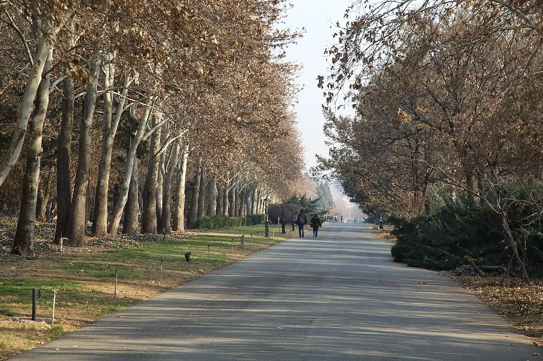 Alley in Tehran Botanical garden 2016