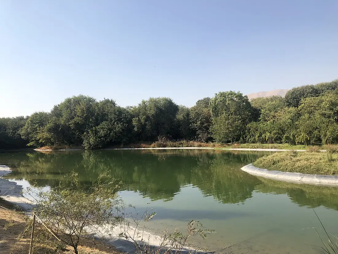 National Botanical Garden of Iran 1