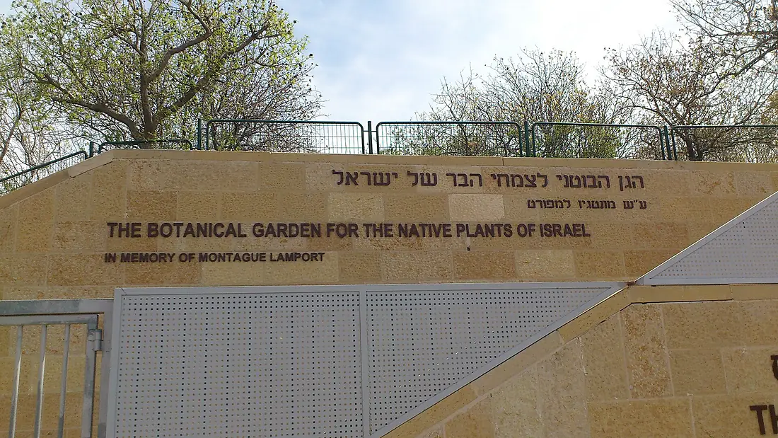 הגן הבוטני הלאומי ע"ש מונטגיו למפורט - הר הצופים