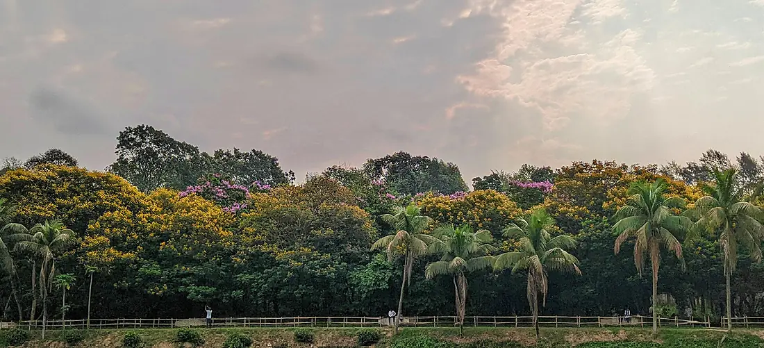 Gardenbanla-50000x22778
