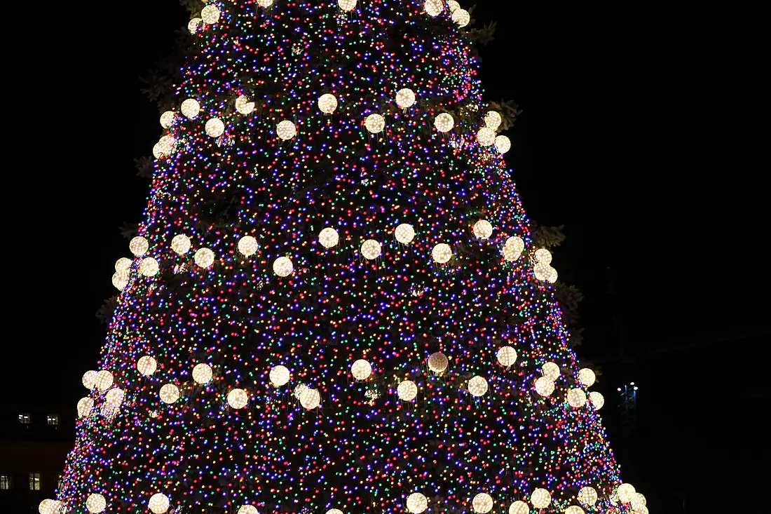 20.NationalChristmasTree.Ellipse.WDC.19December2013 (11526655676)