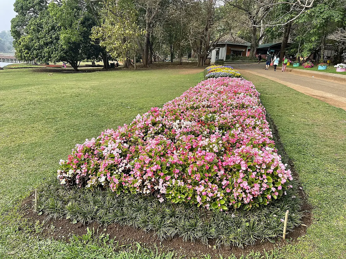 May Myo Kandawgyi Garden 1 (2)