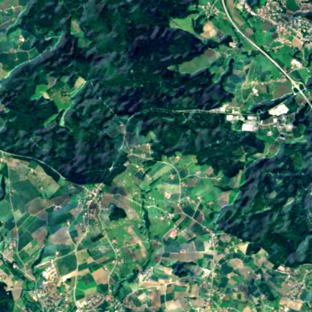 Neuburg Forest seen from above (Sentinel-2)