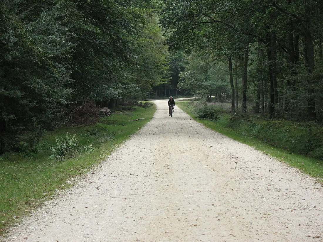 New Forest Cycle path