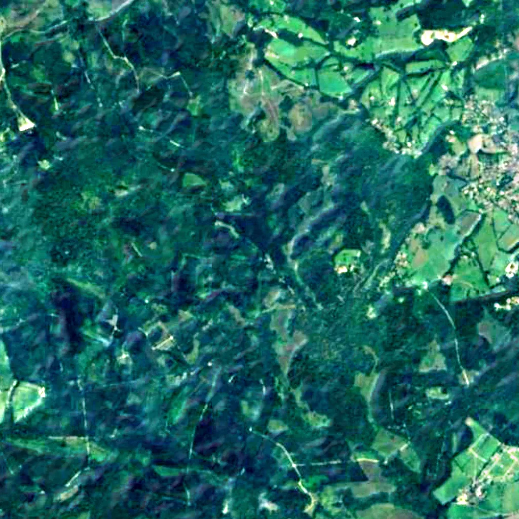 New Forest seen from above (Sentinel-2)