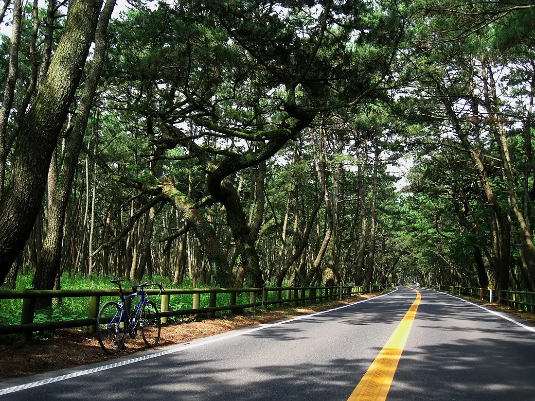 Niji no Matsubara