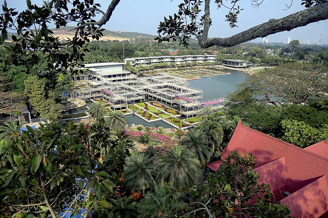Nong Nooch-01