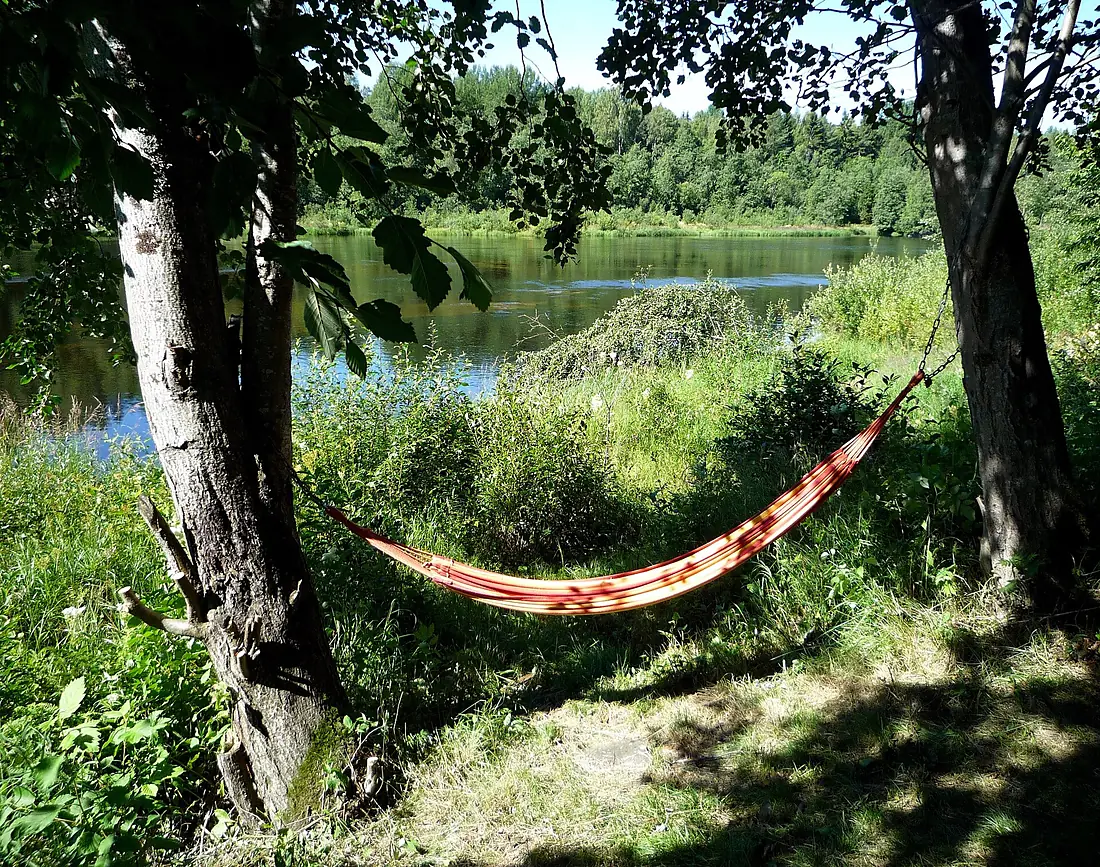 Hängmatta vid Arboretum Norr