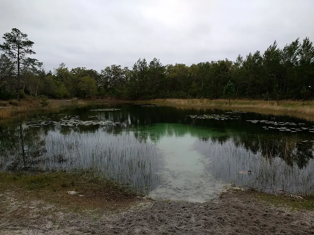 Hidden Pond Juniper Prairie Wilderness Ocala National Forest