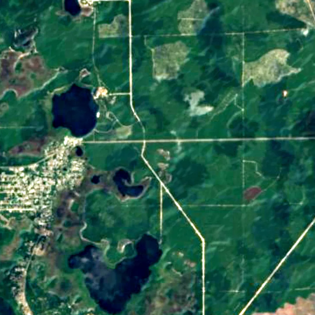 Ocala National Forest seen from above (Sentinel-2)