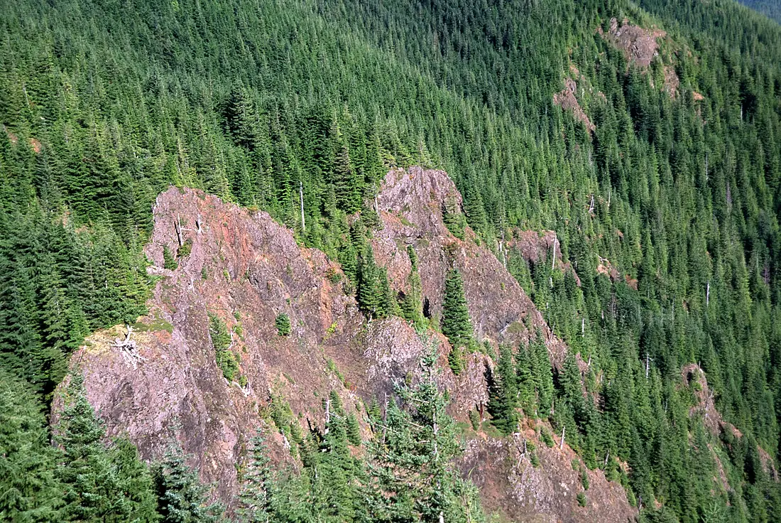 Cliff face and Forest, Olympic National Forest (36321778782)