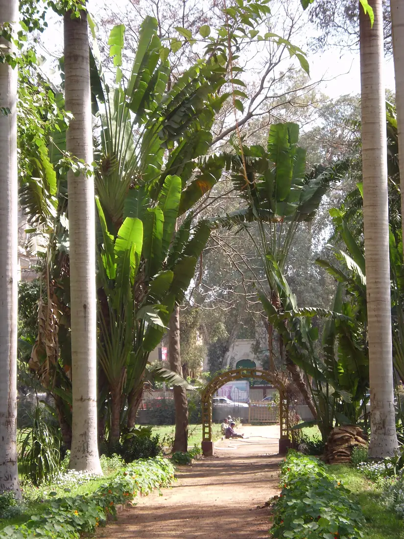 Orman garden - Cairo By Hatem Moushir 11