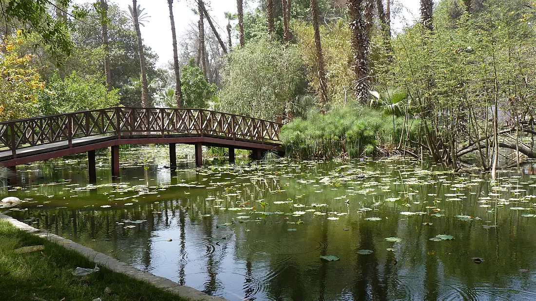 Orman Garden - Lotus pond 01