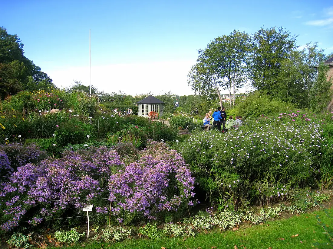 Oslo Botanical Garden - IMG 8922