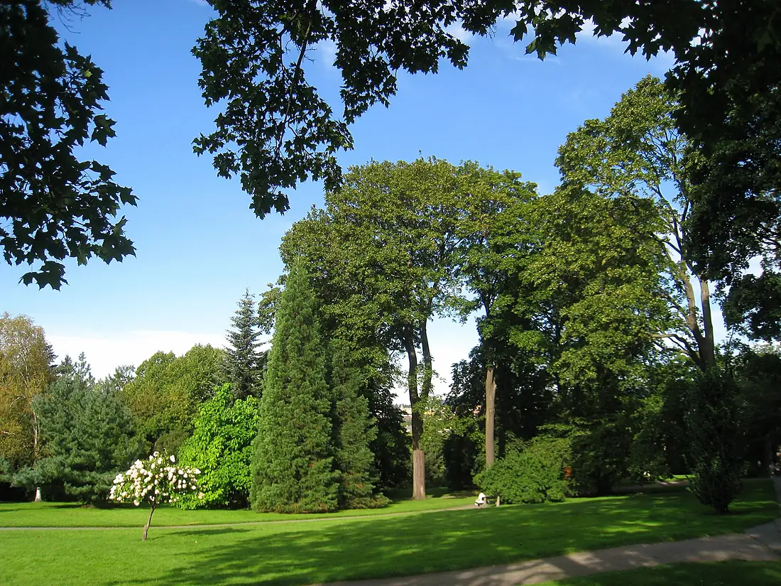 Oslo Botanical Garden - IMG 8932