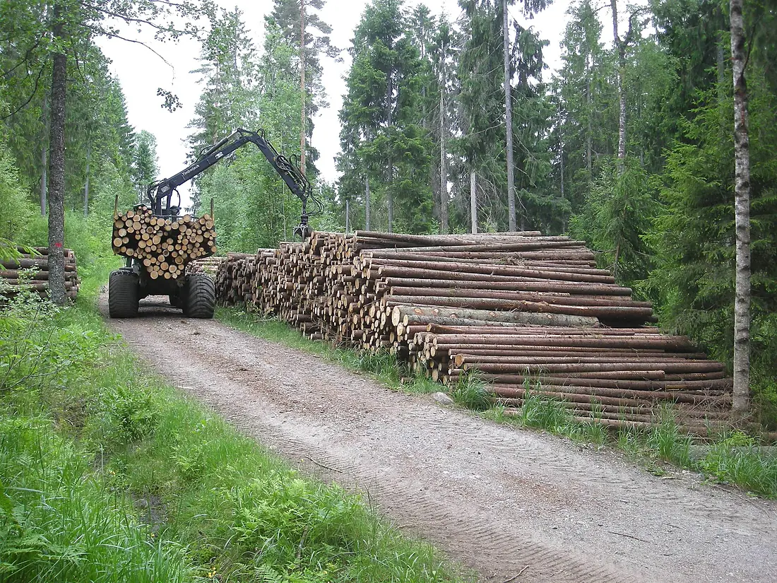 Tømmerfrakt i Østmarka