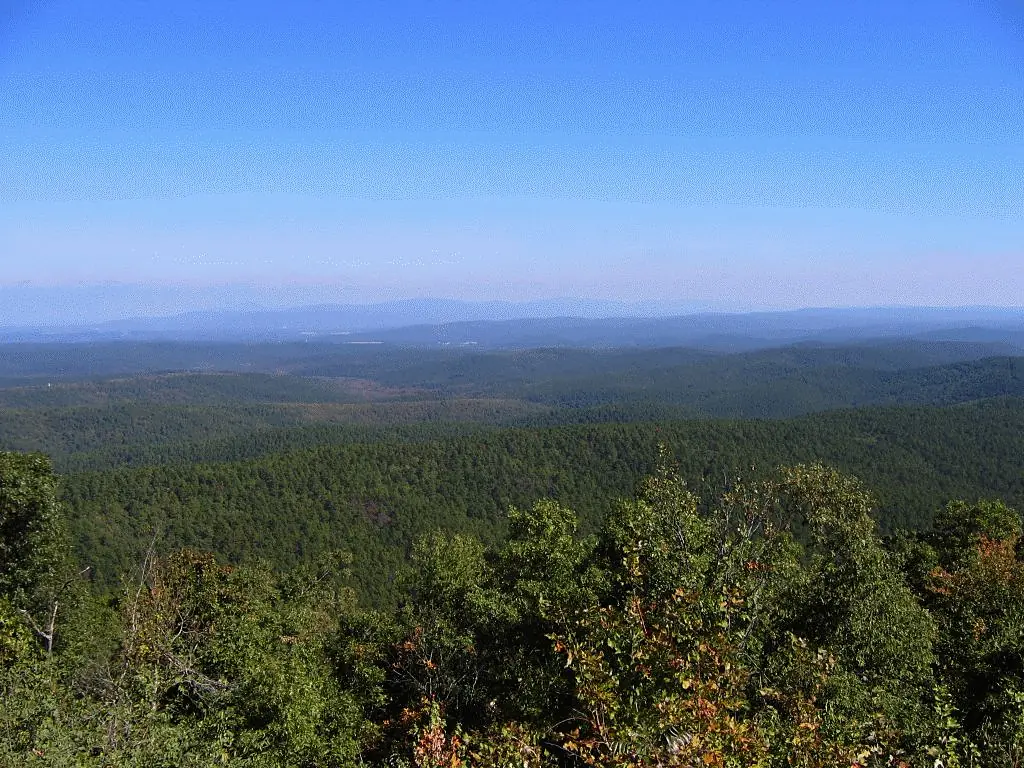 Ouachitanationalforestpicture