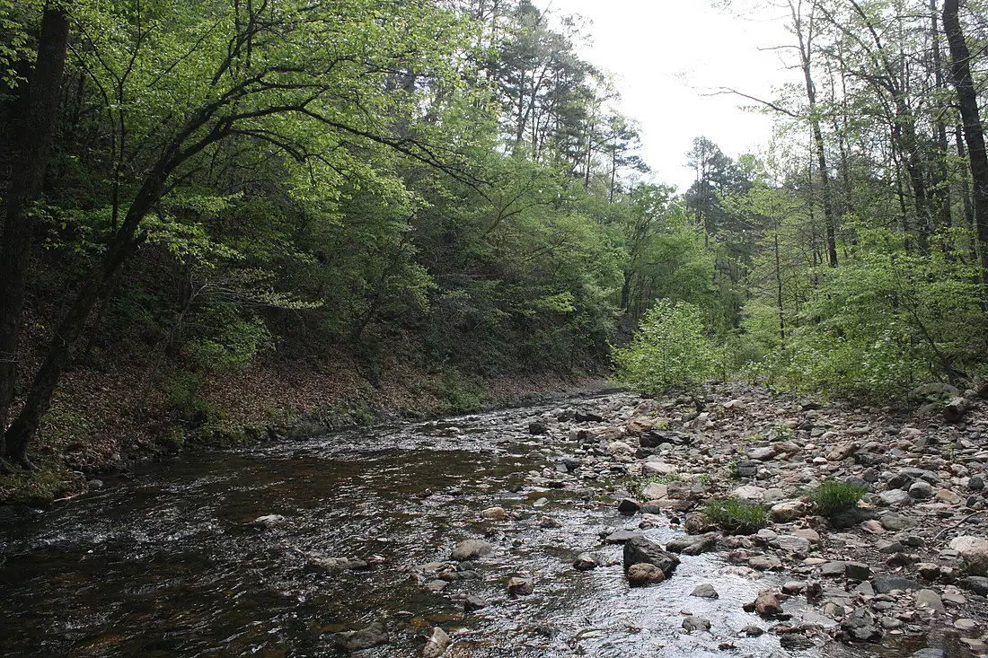 Blaylock Creek near West Trailhead, downstream