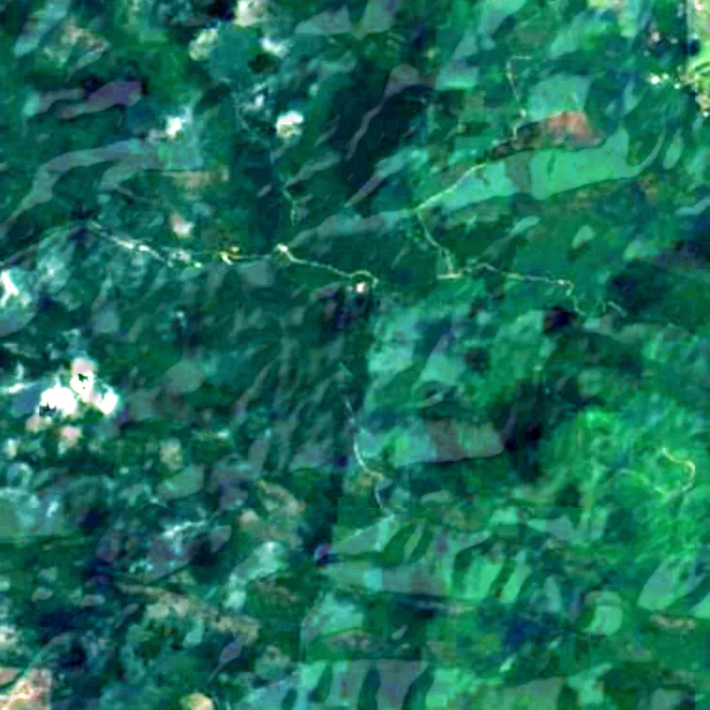 Ouachita National Forest seen from above (Sentinel-2)