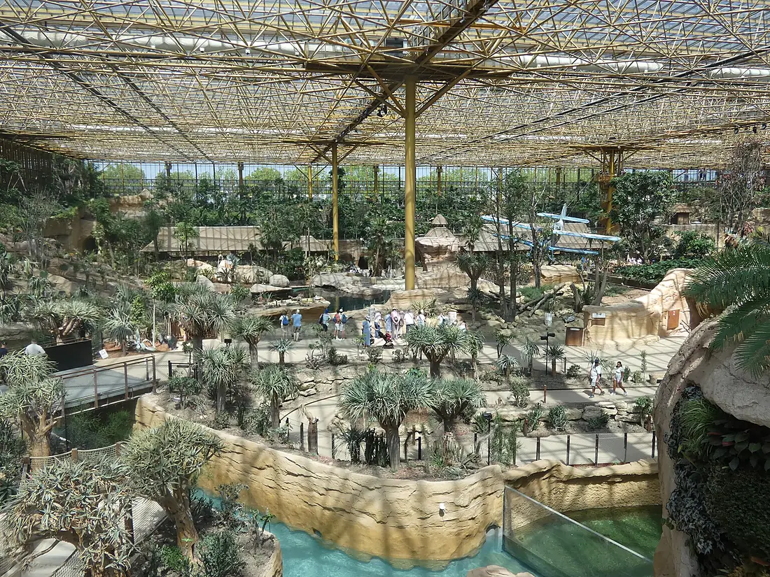 Cambron-Casteau (Brugelette) - Edenya, serre tropicale de Pairi Daiza (B039)