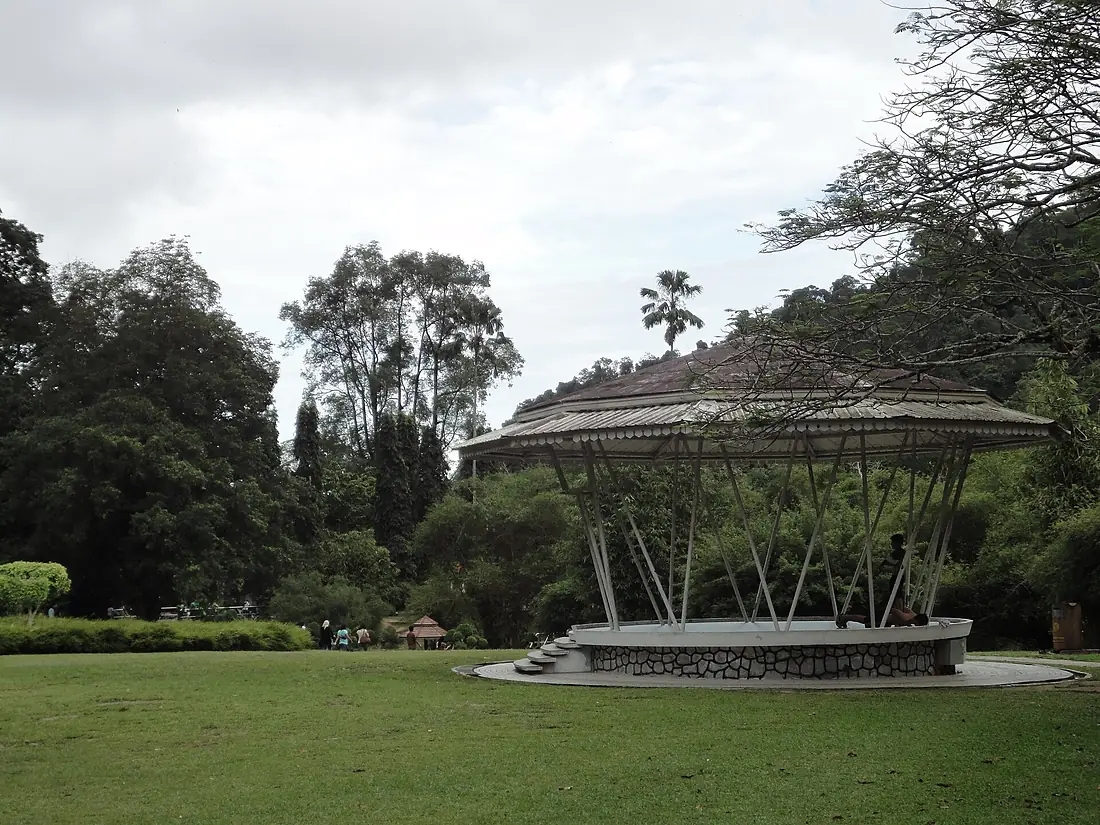 Botanical garden - panoramio (2)